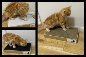 Catmore 猫 爪とぎ