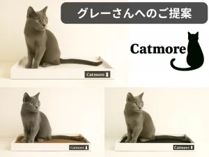 Catmore　キャットモア　爪とぎ　猫