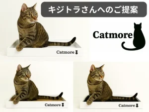 Catmore　キャットモア　爪とぎ　猫