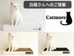 Catmore　キャットモア　爪とぎ　猫