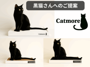 Catmore　キャットモア　爪とぎ　猫