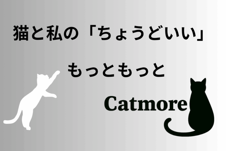 爪とぎ　Catmore　キャットモア　クラファン