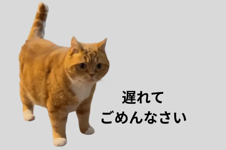 Catmore　爪とぎ　白　黒　茶　インテリア　キャットモア