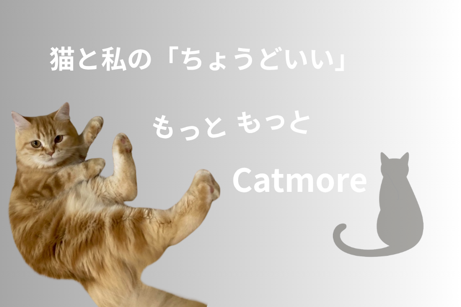 Catmore(キャットモア) 猫 爪とぎ Catmore キャットモア