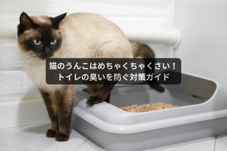 猫が夜に騒ぐ本当の理由｜生活リズムと環境で変わる夜の行動 - Catmore（キャットモア）