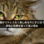 Catmore　爪とぎ　白　黒　茶　インテリア　キャットモア