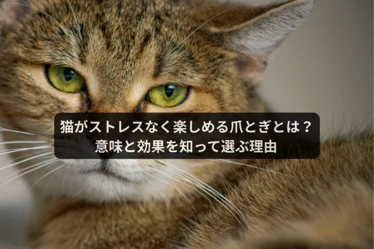 Catmore　爪とぎ　白　黒　茶　インテリア　キャットモア