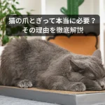 Catmore 爪とぎ 白 黒 茶 インテリア キャットモア