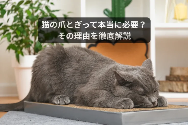 Catmore　爪とぎ　白　黒　茶　インテリア　キャットモア