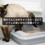 Catmore 爪とぎ 白 黒 茶 インテリア キャットモア