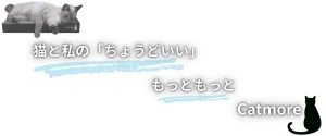 Catmore　爪とぎ　ブランド