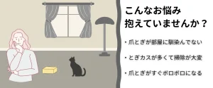 Catmore　爪とぎ　悩み