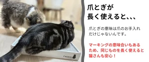 Catmore　爪とぎ　猫