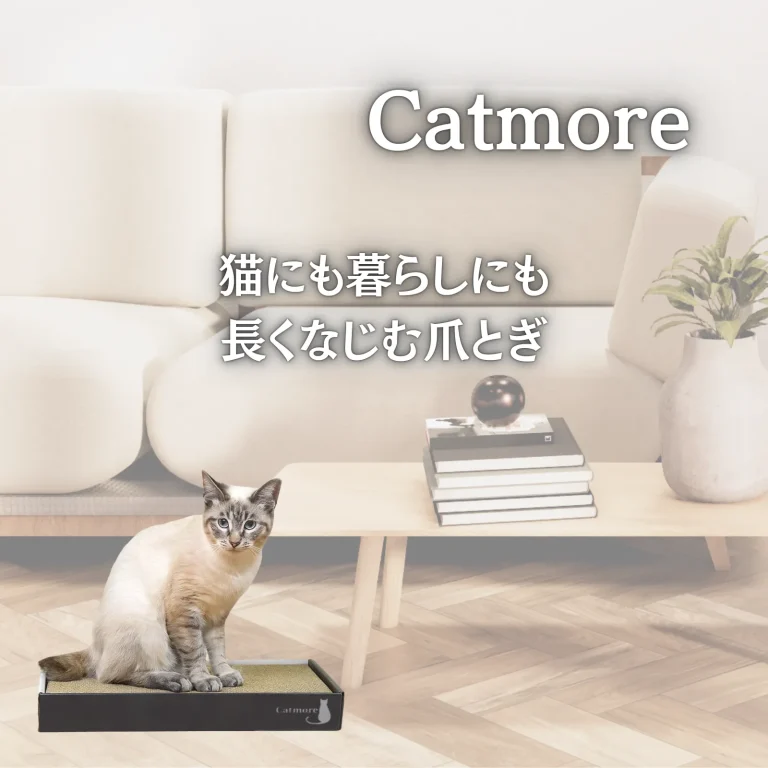 Catmore BASEショップ公開のお知らせ｜インテリアに合う段ボール爪とぎを販売開始