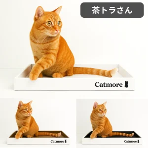 Catmore　爪とぎ　茶トラ