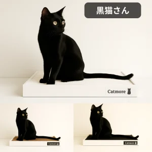 Catmore　爪とぎ　黒猫