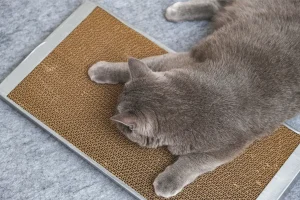 とぎカスが出にくい爪とぎ