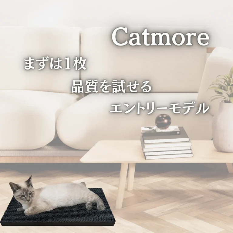 まずは試したい方へ｜Catmoreの1枚入りが登場しました