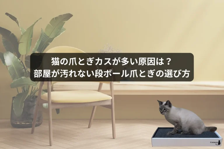 猫の爪とぎカスが多い原因は？部屋が汚れない段ボール爪とぎの選び方