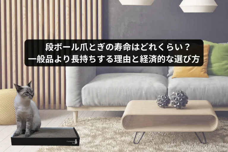 段ボール爪とぎの寿命はどれくらい？一般品より長持ちする理由と経済的な選び方